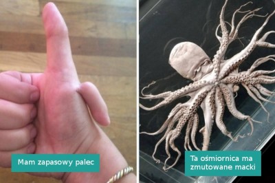 15 osób, które podzieliły się z nami czymś naprawdę niezwykłym 