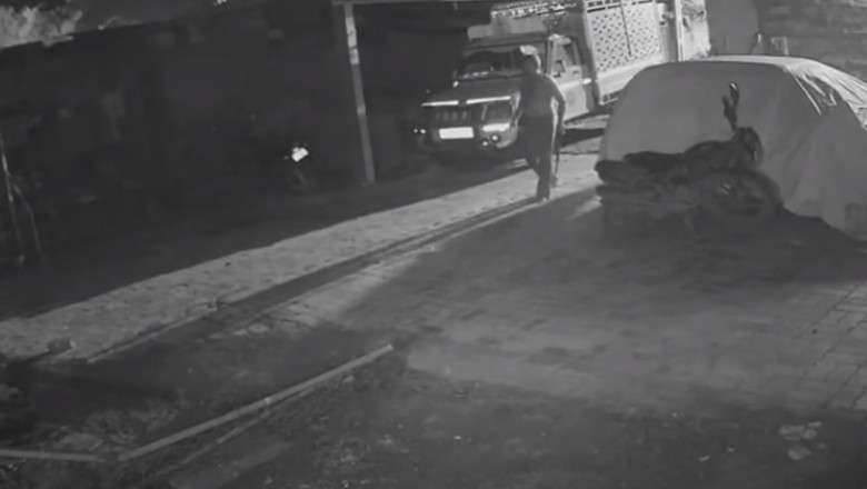Facet z kijem kontra lew. Gdy Twoja krowa potrzebuje pomocy