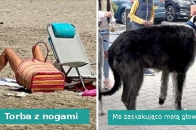 15 zdjęć, których nie da rady zrozumieć na pierwszy rzut oka