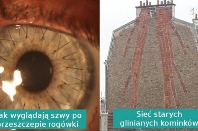 16 codziennych spotykanych rzeczy pokazanych w niecodziennym świetle