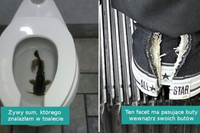 15 zdjęć, które są tak mylące, że nawet Google nie jest w stanie nam pomóc