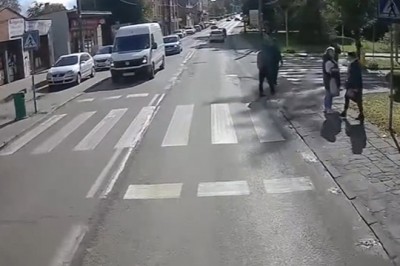Wtargnęła na pasy tuż przed nadjeżdżające auto