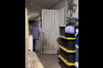 Kiedy boisz się pająków, a ktoś zastawi na Ciebie pułapkę 