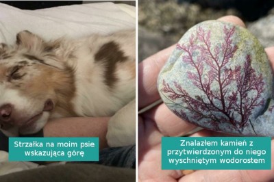 16 zdjęć pokazujących, że natura nigdy nie przestanie nas zaskakiwać