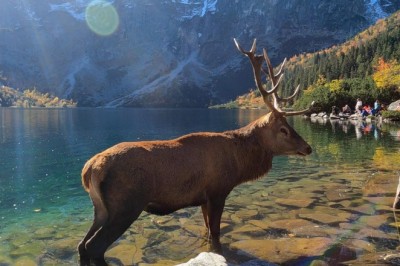 Codzienna porcja ciekawych i zabawnych filmików #602