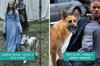 Te gwiazdy zakochały  się w swoich filmowych zwierzakach i zabrały je do domu