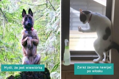 16 osób, które musiały zaakceptować, że ich zwierzaki są „zepsute”