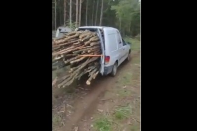 Kiedy „wungla” nie ma i musisz mieć czym palić w zimie