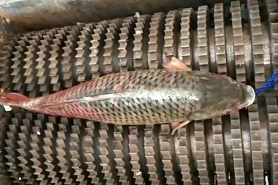 Codzienna porcja ciekawych i zabawnych filmików #609