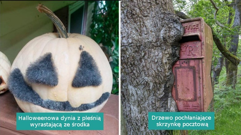 16 rzeczy nadgryzionych przez ząb czasu które mocno je zmienił