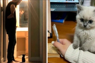 18 uroczych, niezwykle małych kociaków, które wydają się aż nie realne