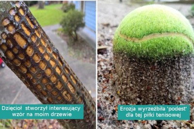 15 sytuacji, w których natura postanowiła udekorować świat na swój sposób