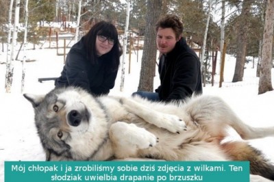 17 niebezpiecznych zwierzaków, które również potrafią być urocze. Groźne słodziaki