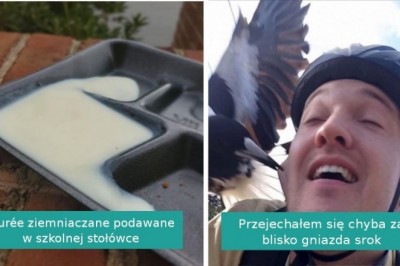 15 osób, które tego dnia opuściło szczęście. Raczej mieli gorszy dzień od Ciebie