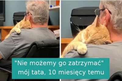 19 osób, które twierdziły, że wcale nie chcą zwierząt w swoim domu