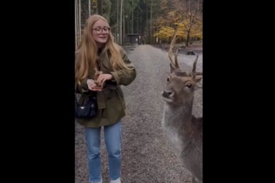 Kiedy wydaje Ci się, że karmienie dzikich zwierząt to dobry pomysł