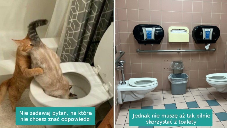 15 zdjęć, które skutecznie ochronią was przed nudą