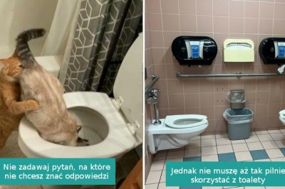 15 zdjęć, które skutecznie ochronią was przed nudą
