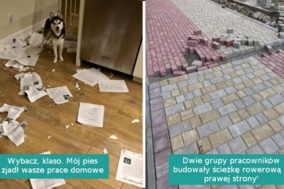 16 zdjęć osób, które miały gorszy dzień w pracy niż ty