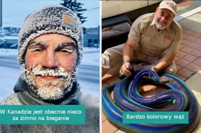 17 osób podzieliło się zdjęciami, których nie zobaczylibyśmy w innych okolicznościach