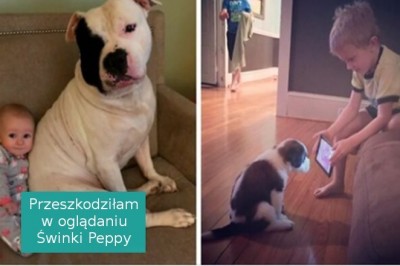 Jeśli sądzisz, że twoje dziecko nie potrzebuje psa, to te zdjęcia mogą cię przekonać