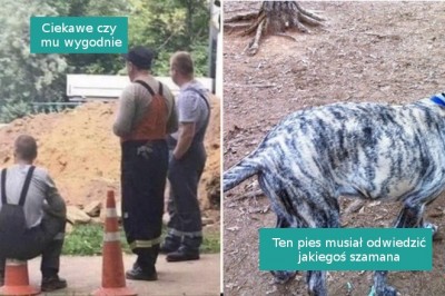 15 zdjęć, które trudno zrozumieć na pierwszy rzut oka