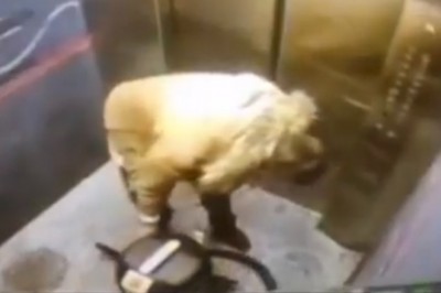 Kiedy w windzie zaczynasz latać na odkurzaczu