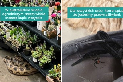 15 zdjęć pokazujących uroki życia w Australii