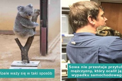 Ta galeria pozytywnych zdjęć poprawi Ci humor nawet w ciężki dzień