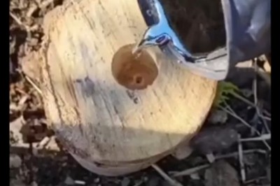 Nic głupszego dzisiaj nie zobaczysz. Ten film rozwalił system