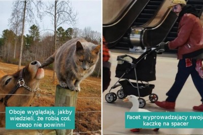 15 zdjęć, które pokazują, że nasz świat jest kompletnie nieprzewidywalny