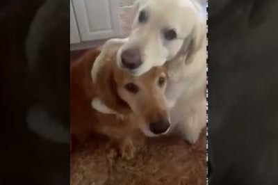 Codzienna porcja ciekawych i zabawnych filmików #636