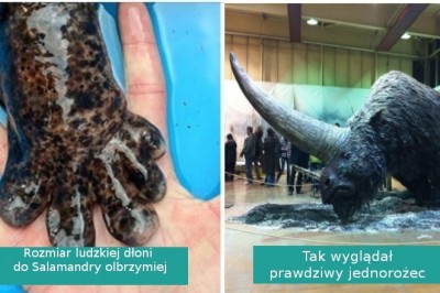 Zdjęcia, które w kilka minut mogą mocno zmienić twoje spojrzenie na świat