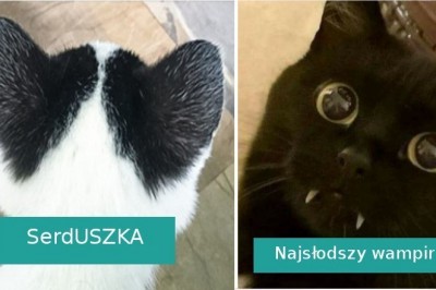 18 zwierzaków będących dowodem, że kreatywność matki natury nie zna granic