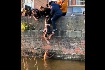 Ratowanie psa, który wskoczył do kanału