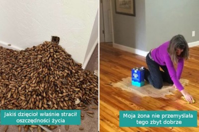 15 nieoczekiwanych sytuacji, obok których trudno przejść obojętnie