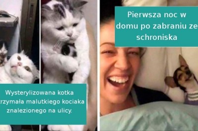 18 szczęśliwych zwierzaków, które znalazły nowych, kochających właścicieli