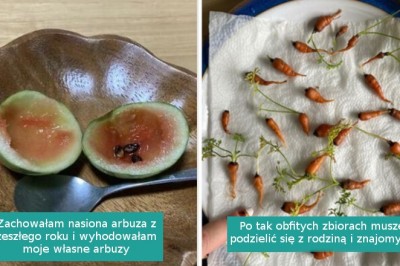 15 osób, które spróbowały wyhodować własne jedzenie, ale coś poszło nie tak