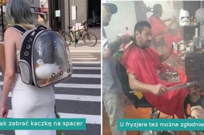 20 dziwnych i zabawnych zdjęć, które pokazują, że ludzie to wyjątkowe stworzenia