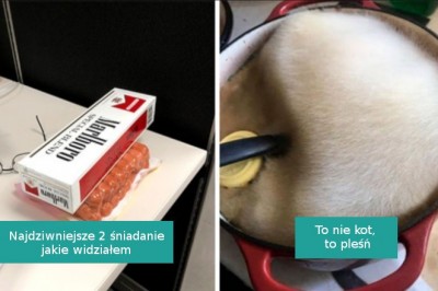 18 losowych i zabawnych zdjęć, które trudno wytłumaczyć