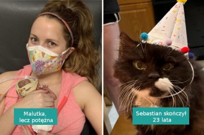 15 zdjęć, które wyrażają więcej niż tysiąc słów