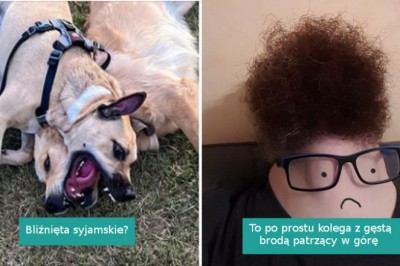 16 mylących zdjęć, które oszukały z łatwością oszukają wasze oczy