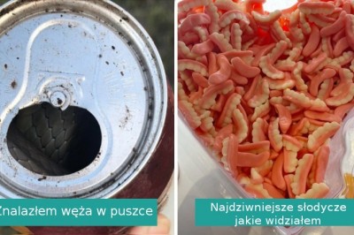 15 nietypowych odkryć, które sprawiły, że rozdziawiliśmy usta ze zdumienia