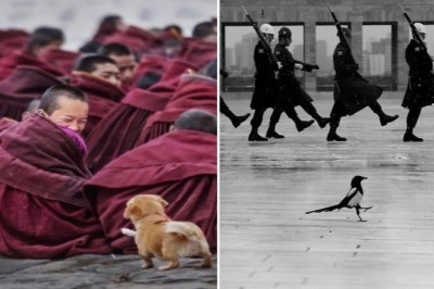 21 ulicznych zdjęć ze świata, pokazujących, że każdy ma poczucie humoru