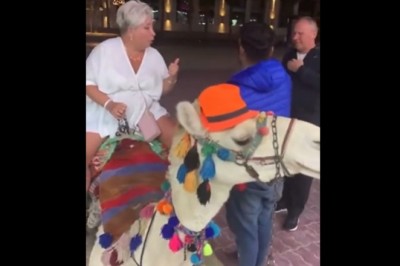 Ziomek wielbłąd miał dosyć turystki i jej faceta