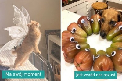 15 zdjęć, które rozgrzeją was lepiej niż kubek kakao i poprawią nastrój w ciężki dzień