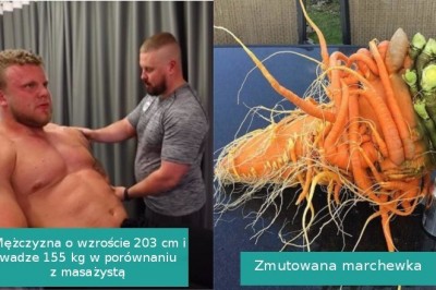 Galeria pokazująca, że aby docenić niektóre rzeczy trzeba dobrego porównania