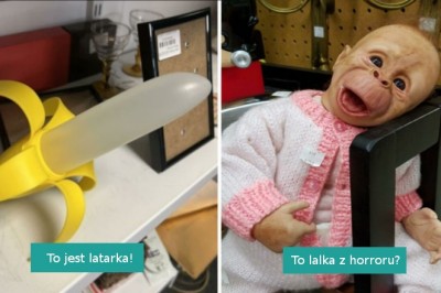 15 losowych i niedorzecznych przedmiotów oddanych na aukcje charytatywne