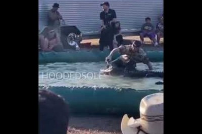 Szybko pożałował wsadzenia nogi do pyska aligatora