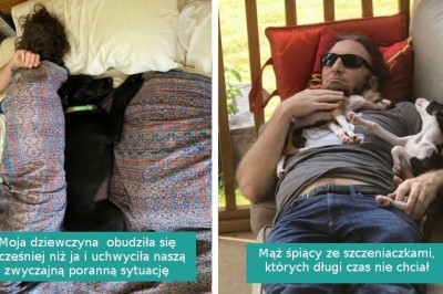 Ci właściciele zasypiają w towarzystwie zwierzaków i wyglądają przesłodko